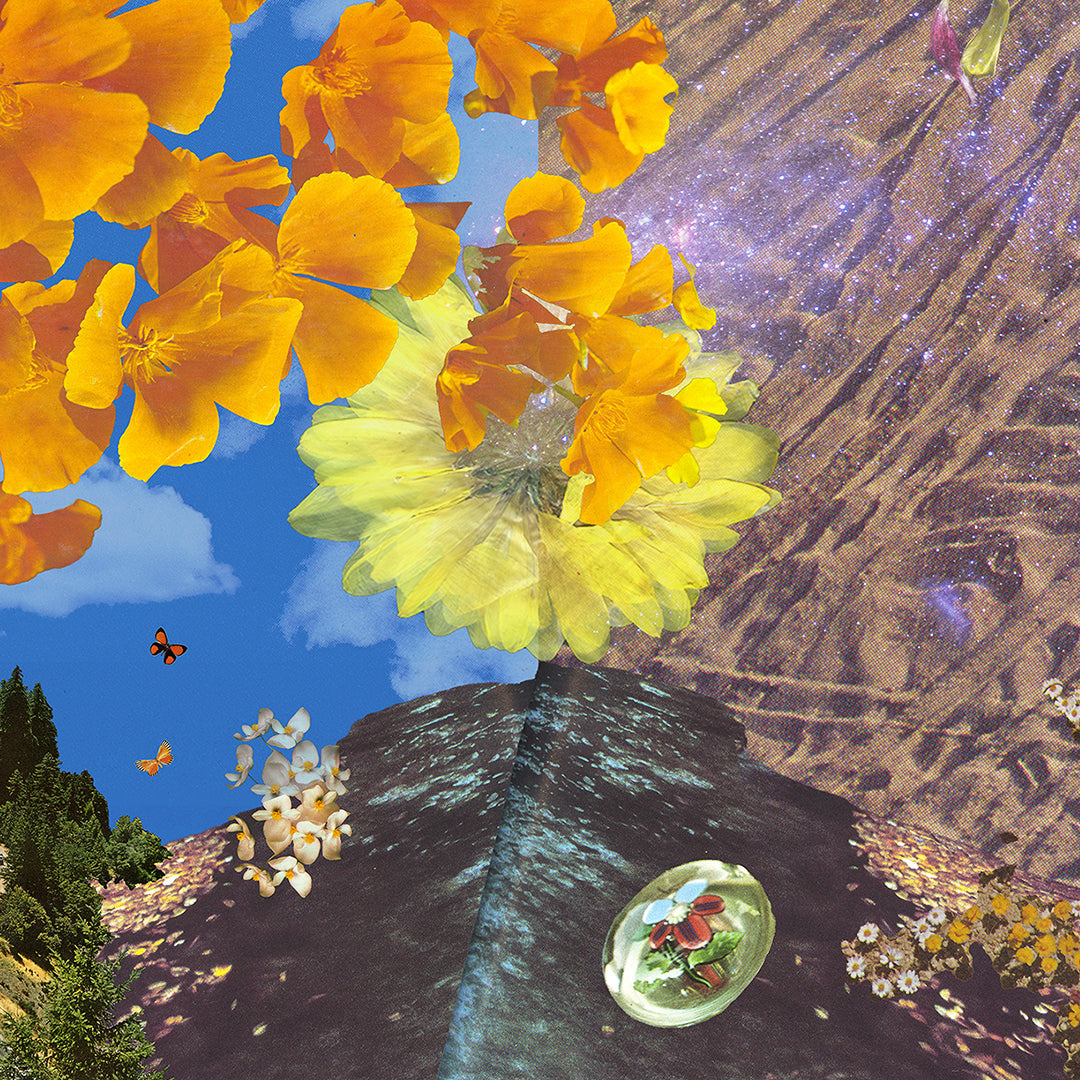 Colourful flowers layered above sand, water, butterflies and petals