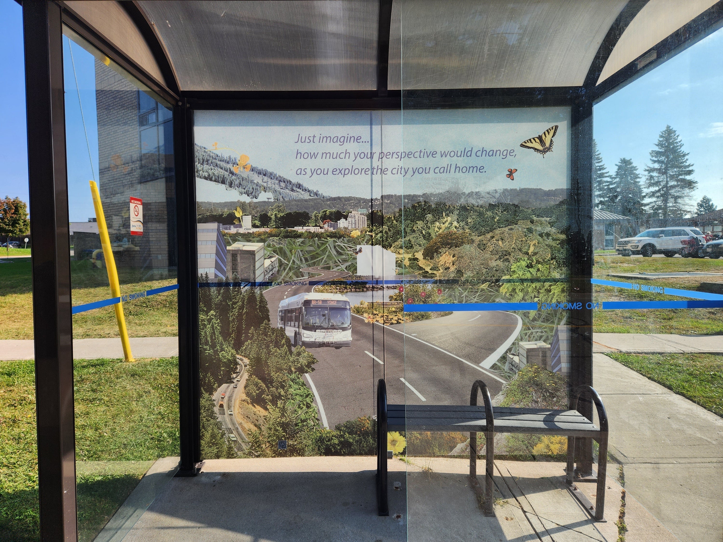 A collage with a bus, roads, water, flora and fauna