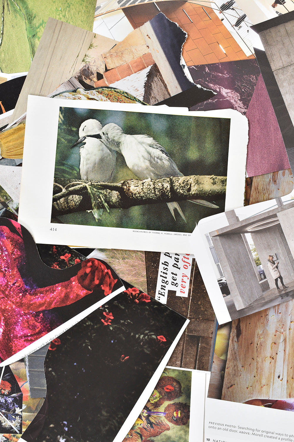 Ripped and cut out paper and images in a pile