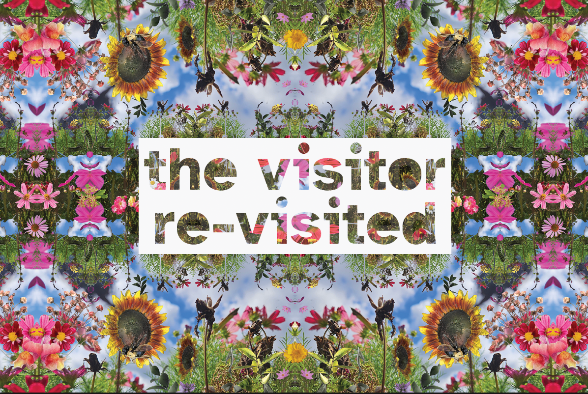 the visitor (re-visited) at Tangled Art + Disability