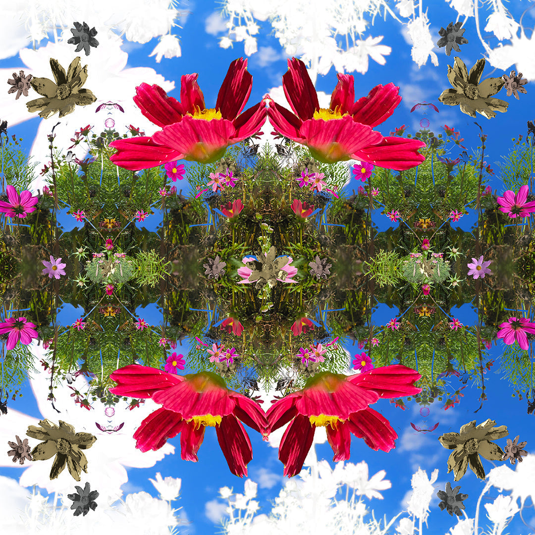 A colourful collage with sky blue background and layered greenery and pink flowers