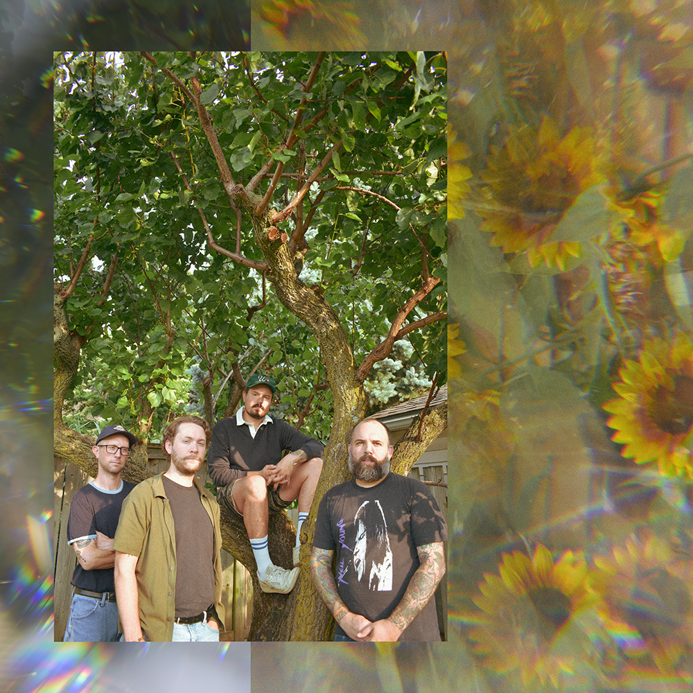 Sunflowers and sky behind a photo of four white men and a tree