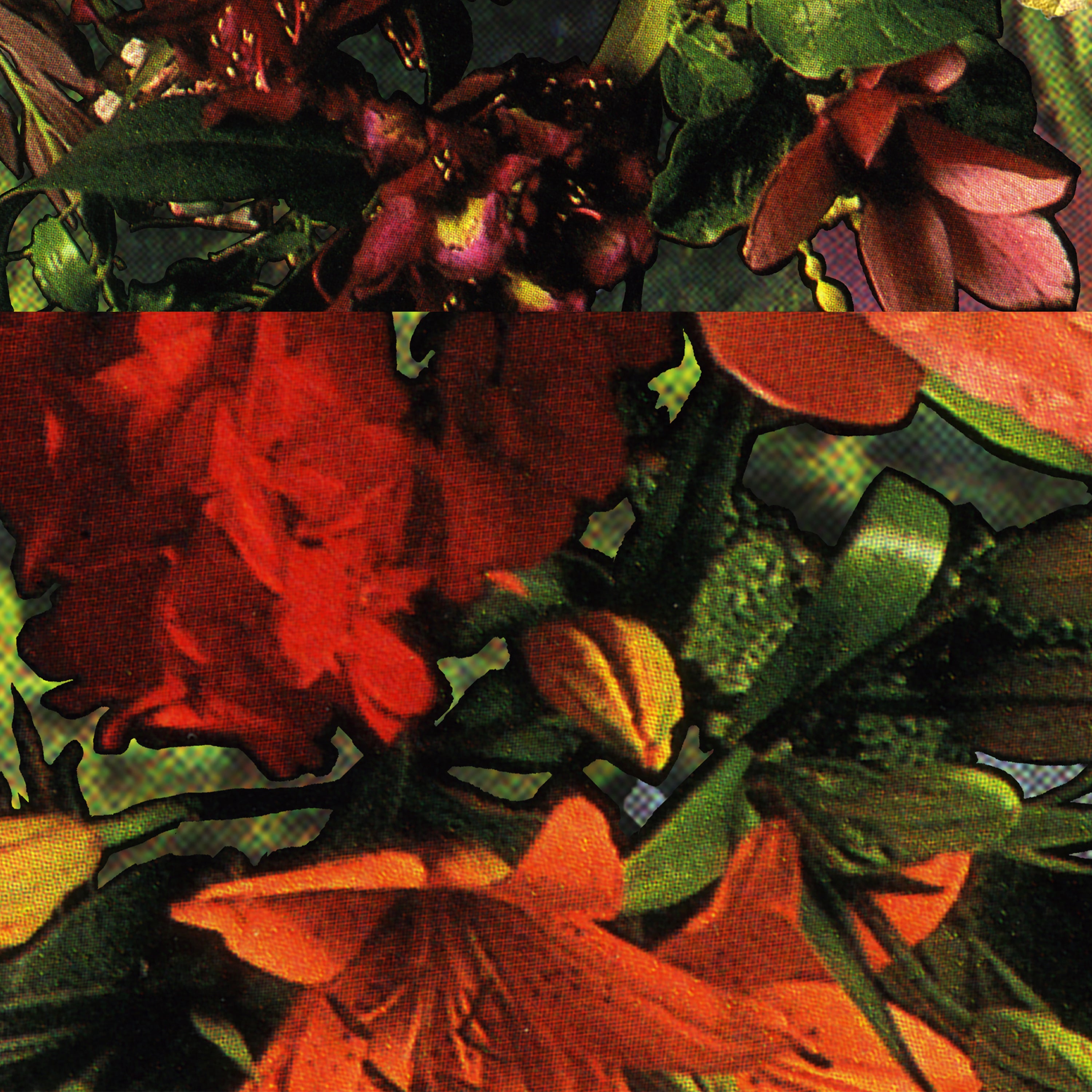 Orange, pink and red florals with green leaves.