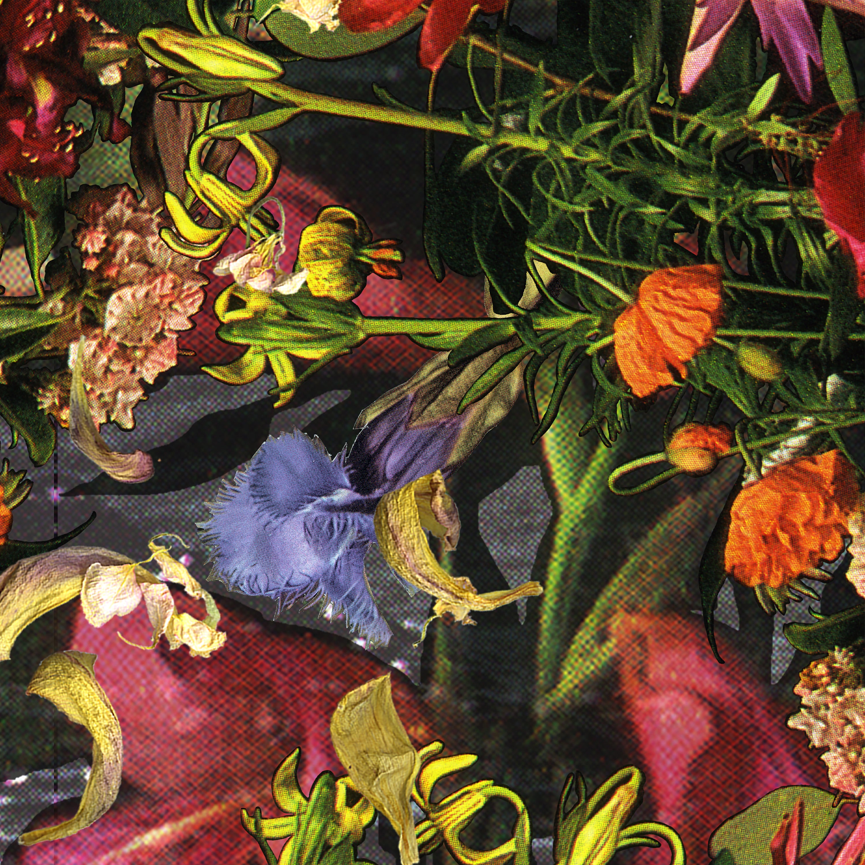 Pink, red, orange and purple flowers over green leaves