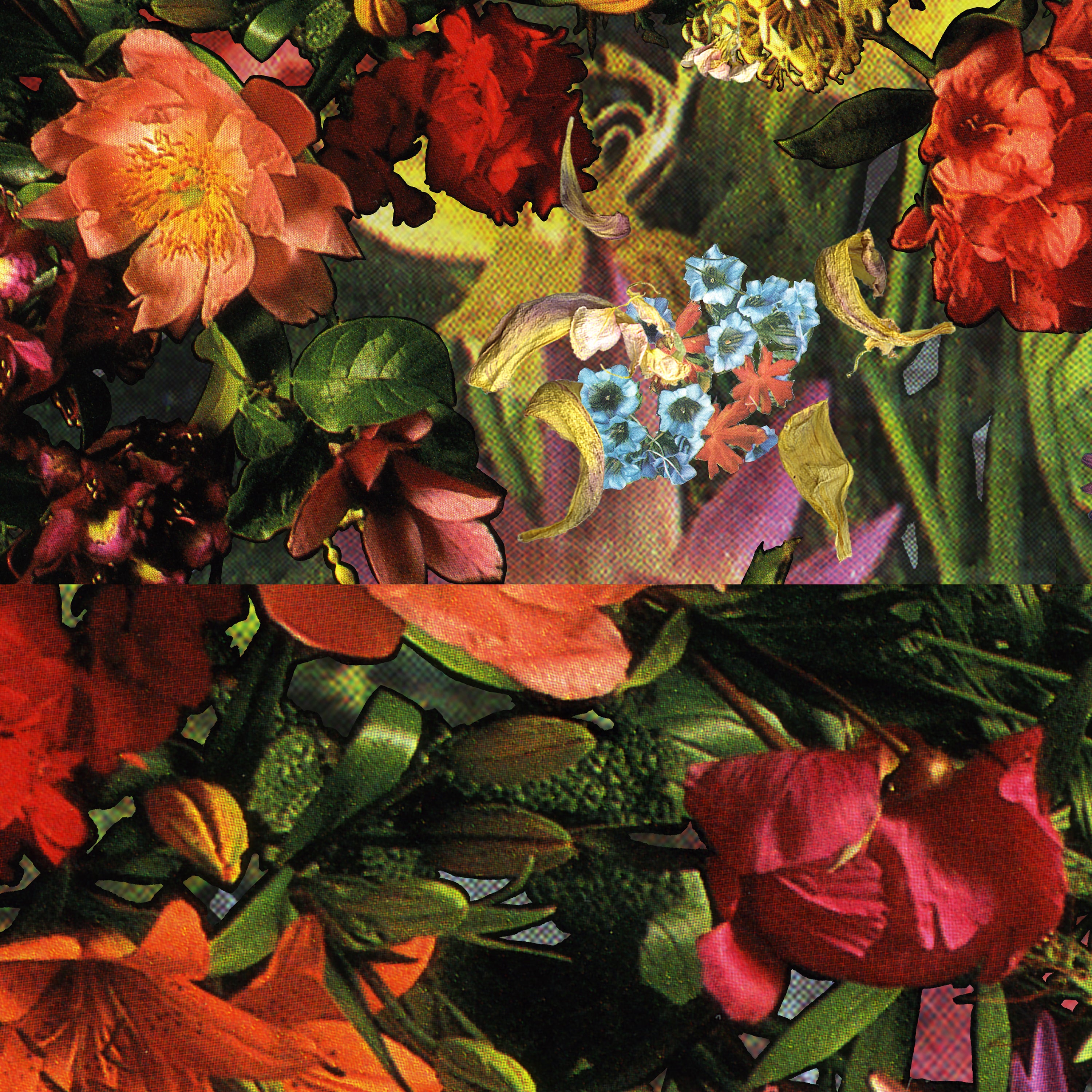 Orange, Pink, Yellow and blue flowers with green stems and leaves in the background