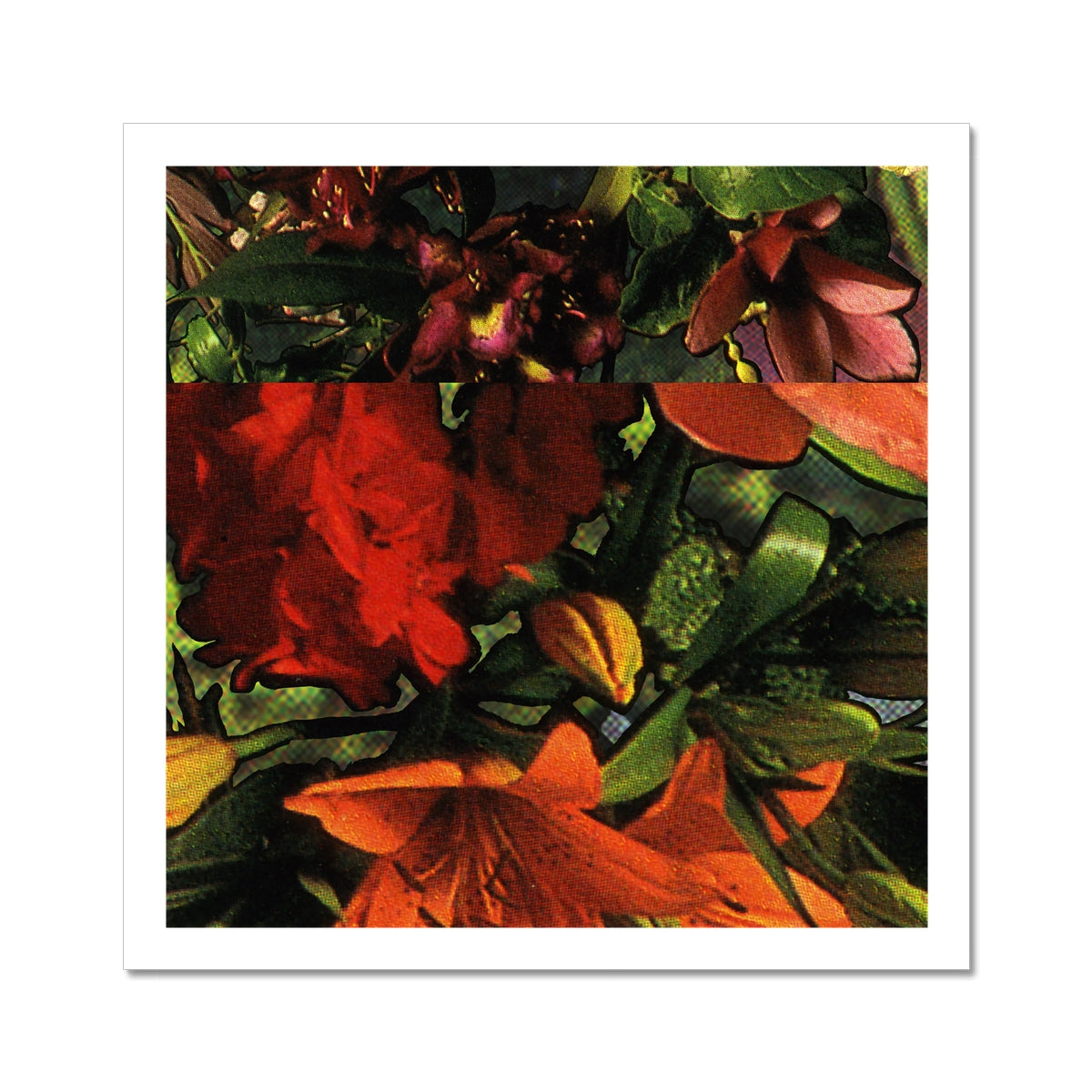 Orange, pink and red florals with green leaves