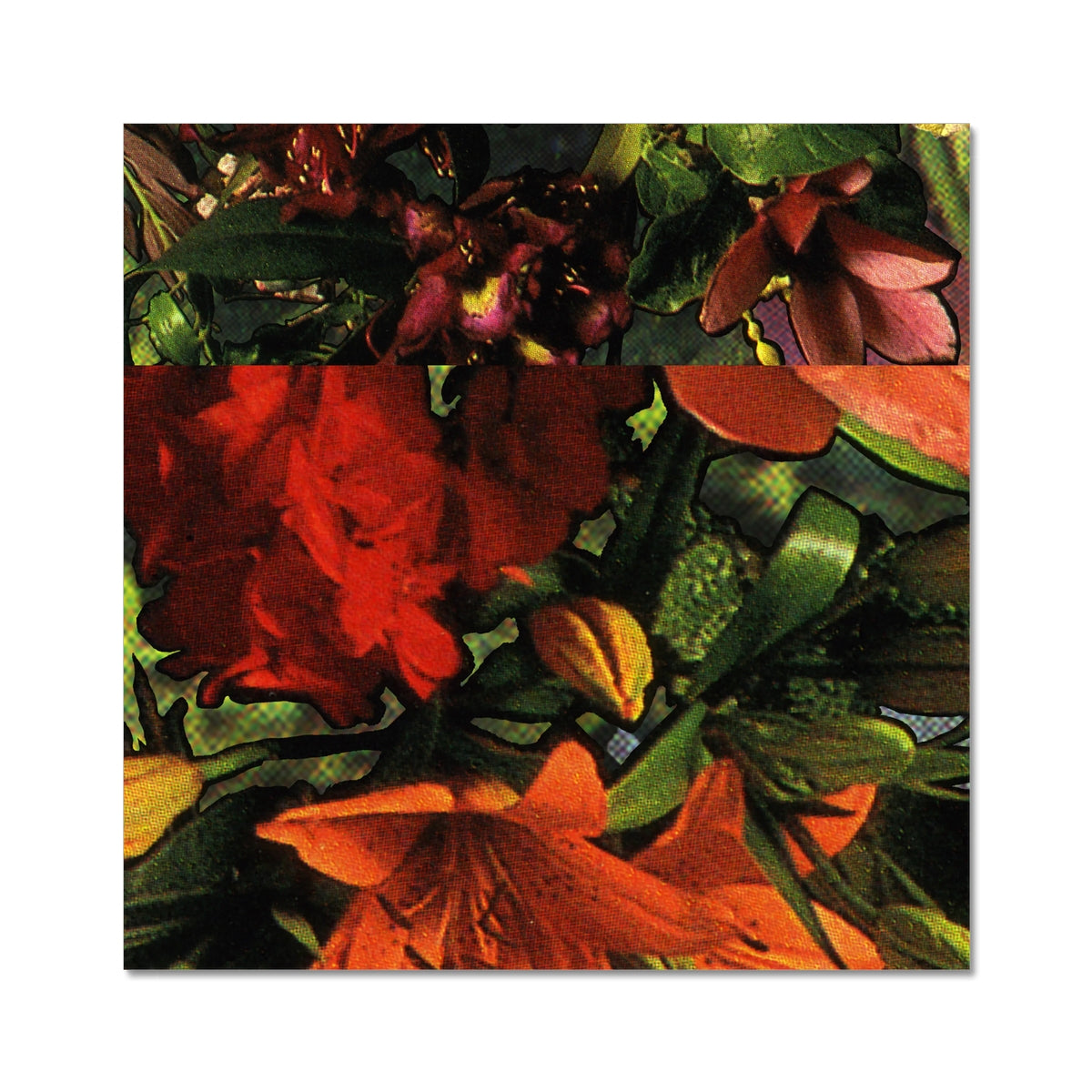 orange, pink and red florals with green leaves.