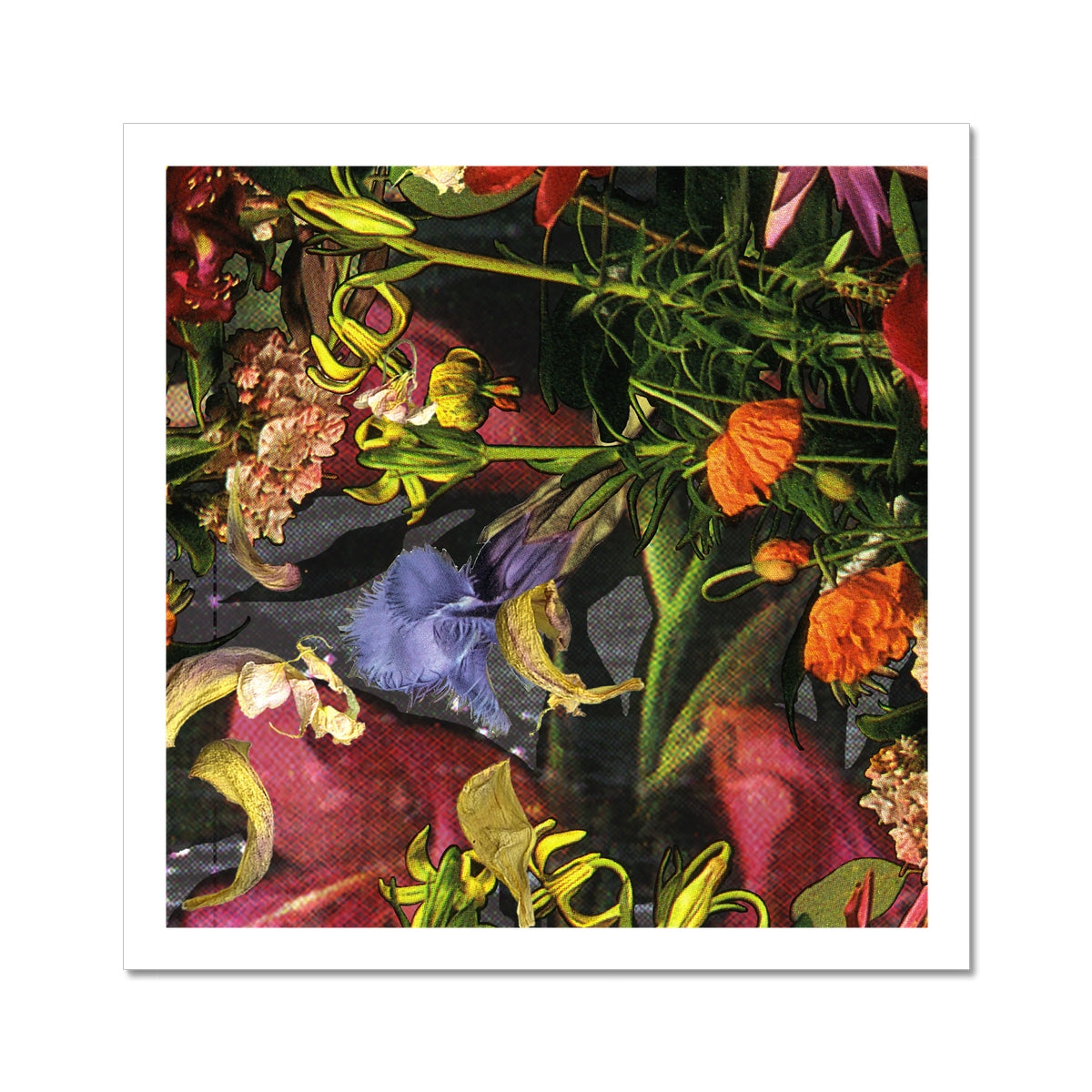 Pink, red, orange and purple flowers over green leaves