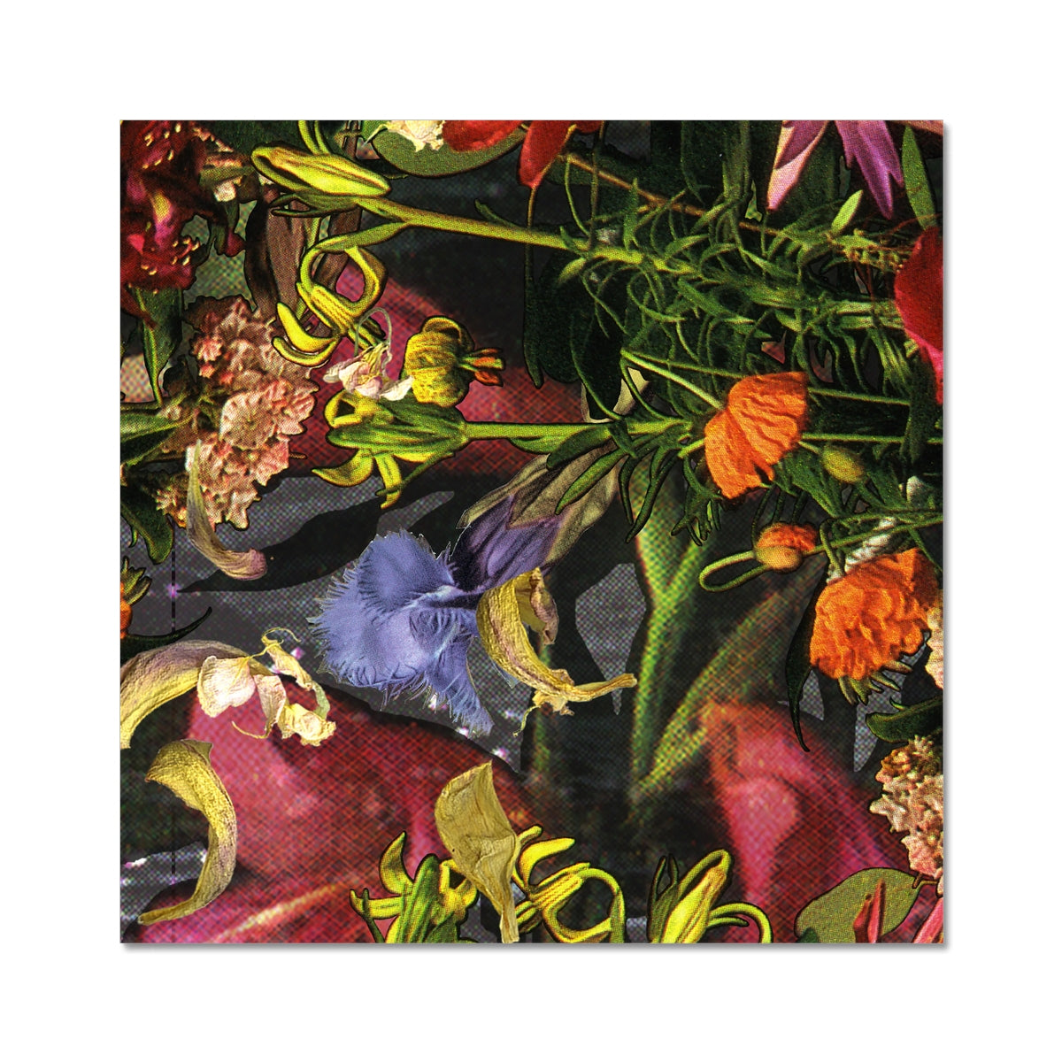 Pink, red, orange and purple flowers over green leaves