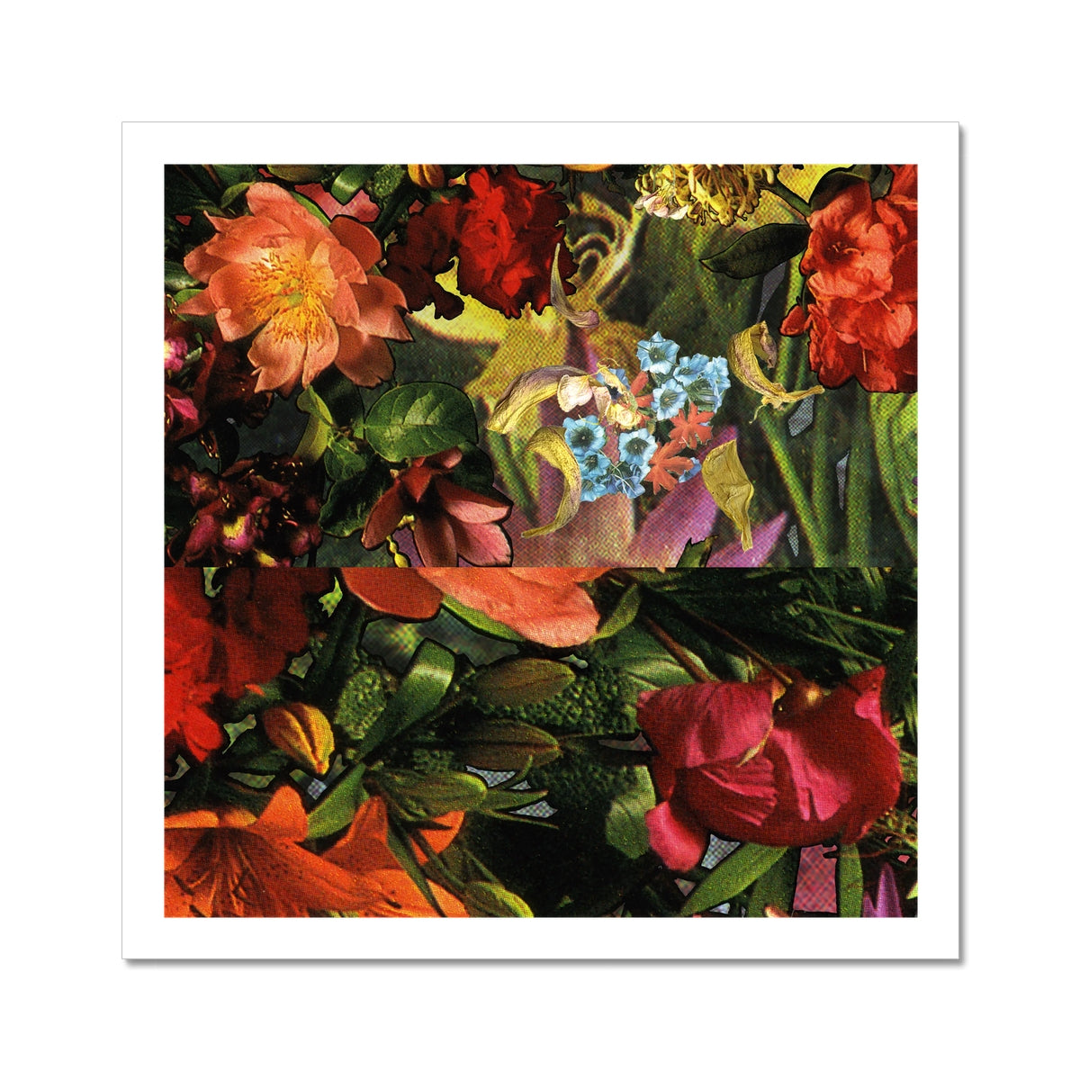 Orange, Pink, Yellow and blue flowers with green stems and leaves in the background