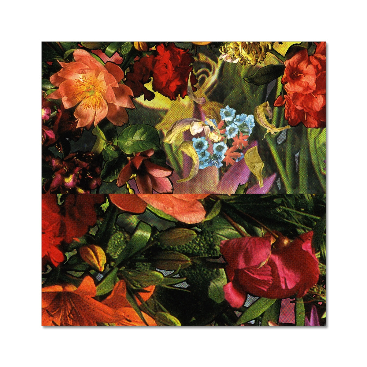 Orange, Pink, Yellow and blue flowers with green stems and leaves in the background