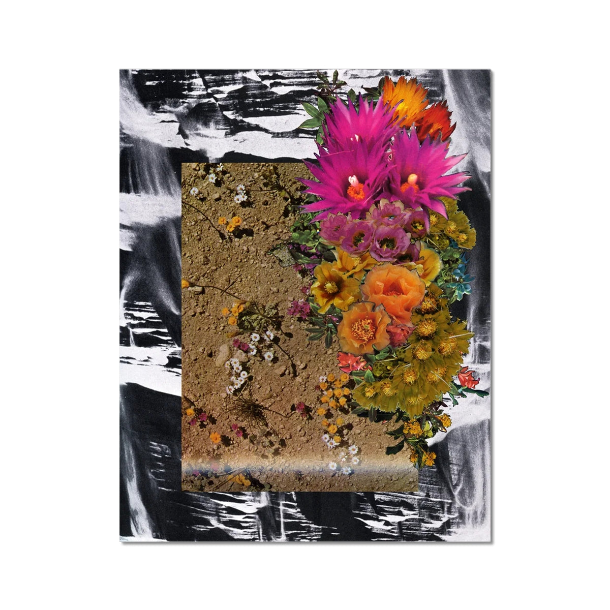 A collage with black and white sand in the background, in the middle is brown soil with yellow, pink and white flowers. To the right are colourful layered florals.  