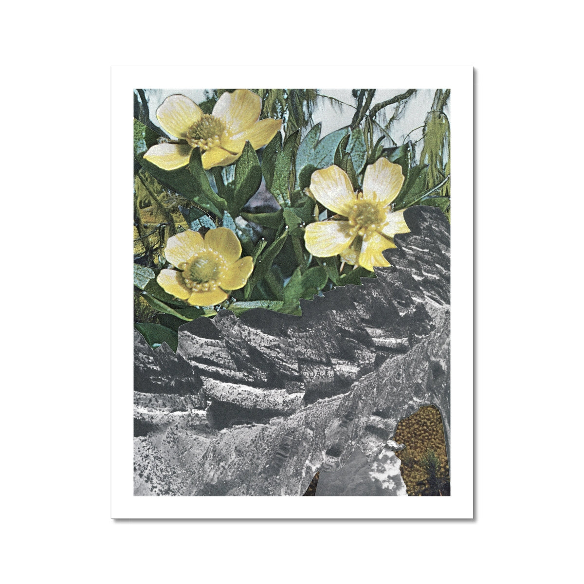 Yellow flowers with green leaves. In the background are small orange buds. Layered over top are grey and black stones.