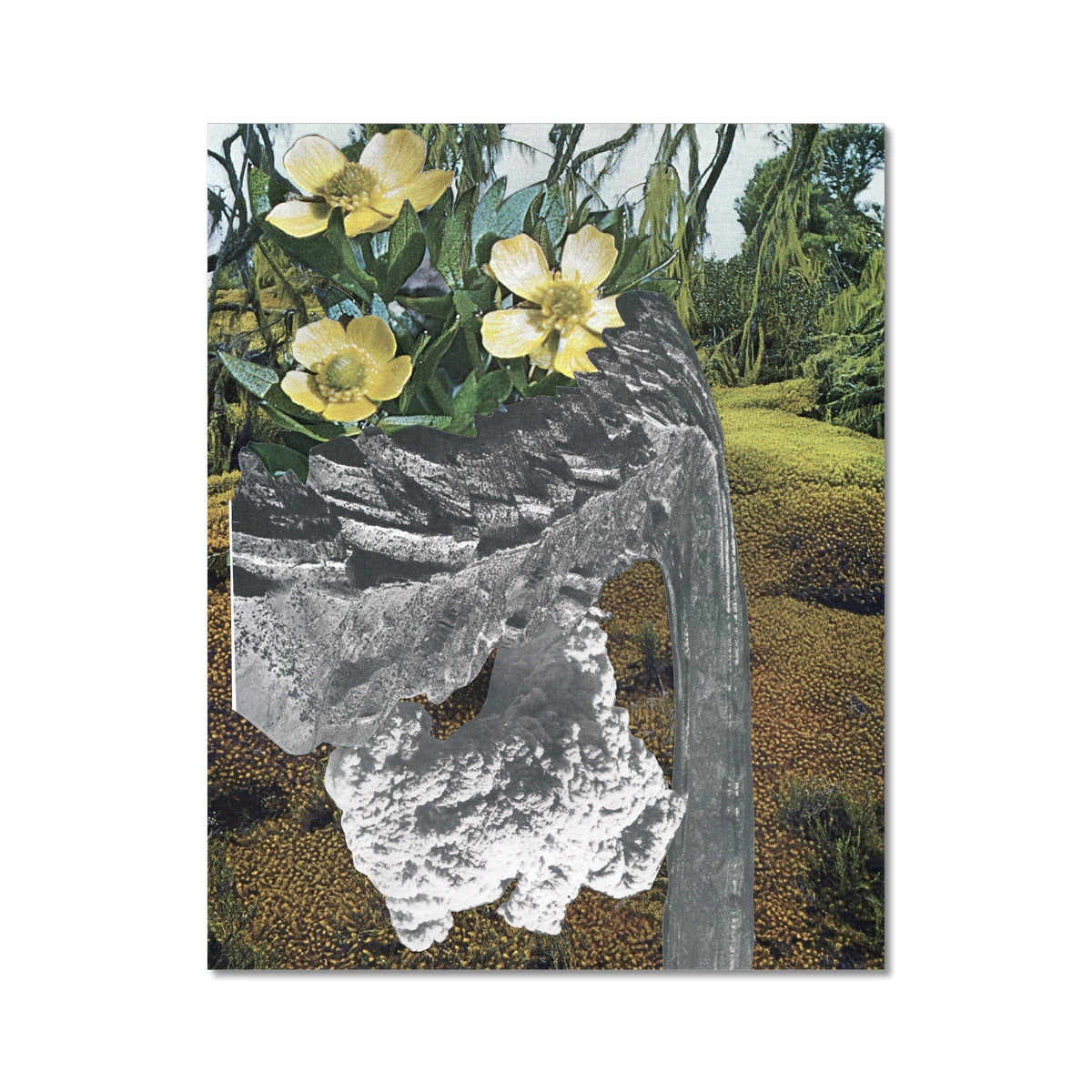 Yellow flowers with green leaves. In the background are small orange buds. Layered over top are grey and black stones.