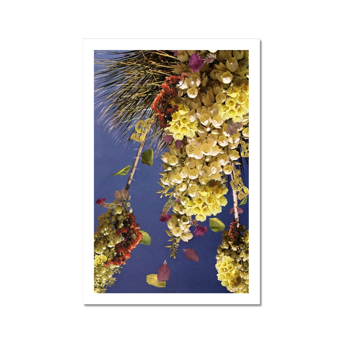 A collage with blue background, yellow, white, and red flowers with green dried leaves and purple and pink petals. The collage has a white border.