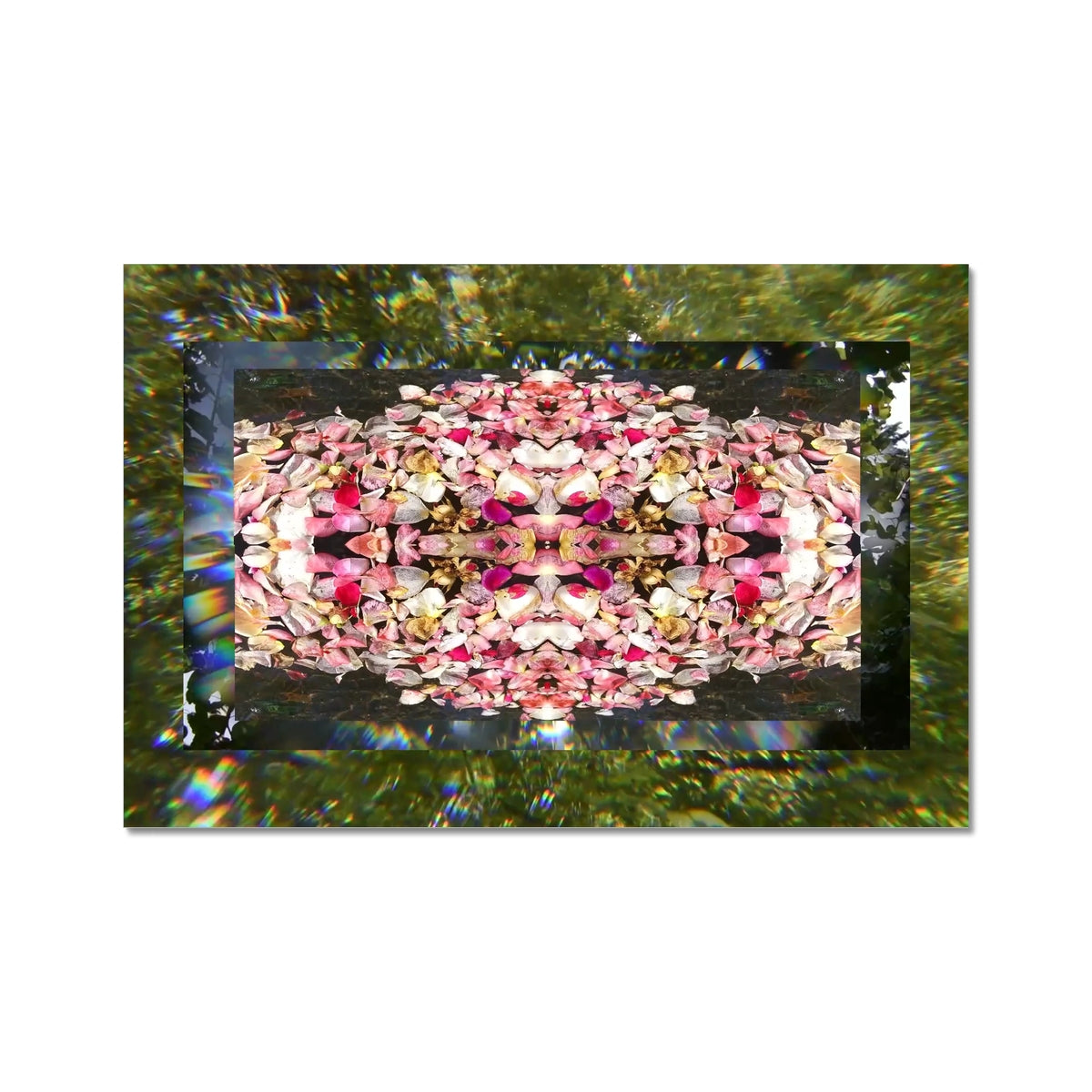 A still from an analog video with pink petals and green leaves in the background