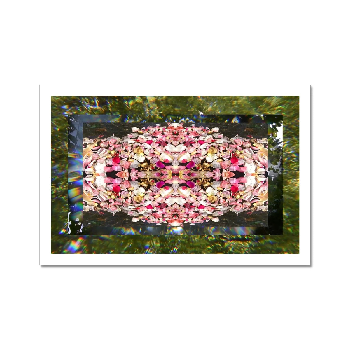 A still from an analog video with pink petals and green leaves in the background