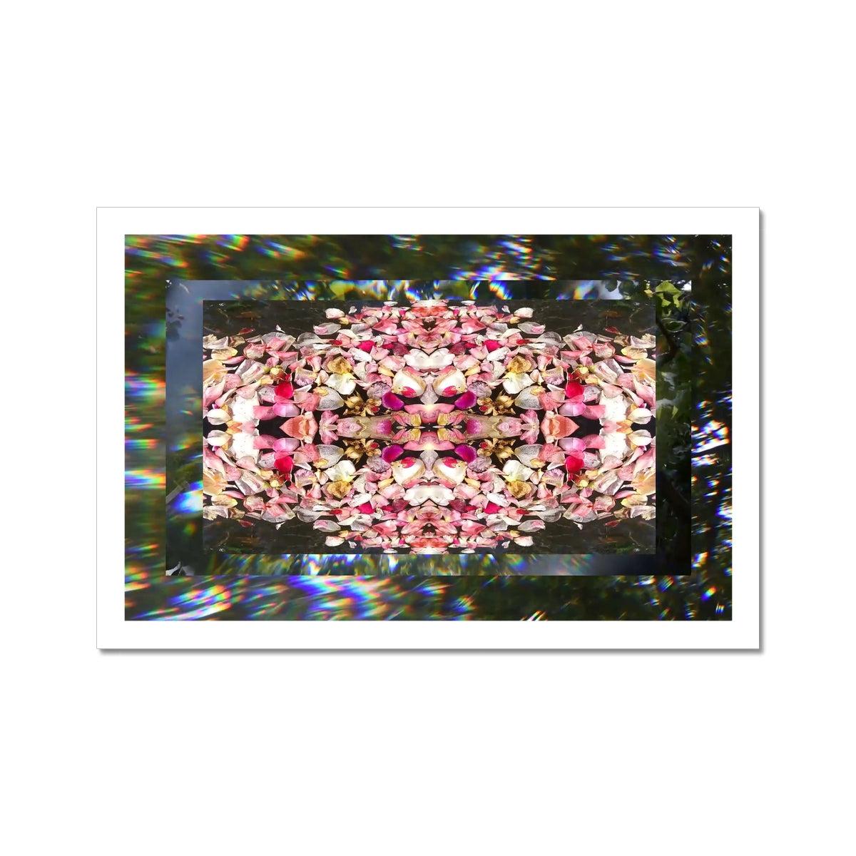 A still from an analog video with pink petals and green leaves in the background