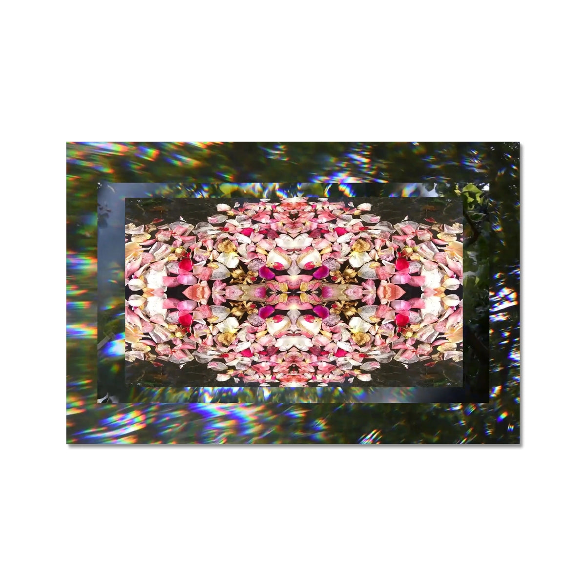 A still from an analog video with pink petals and green leaves in the background