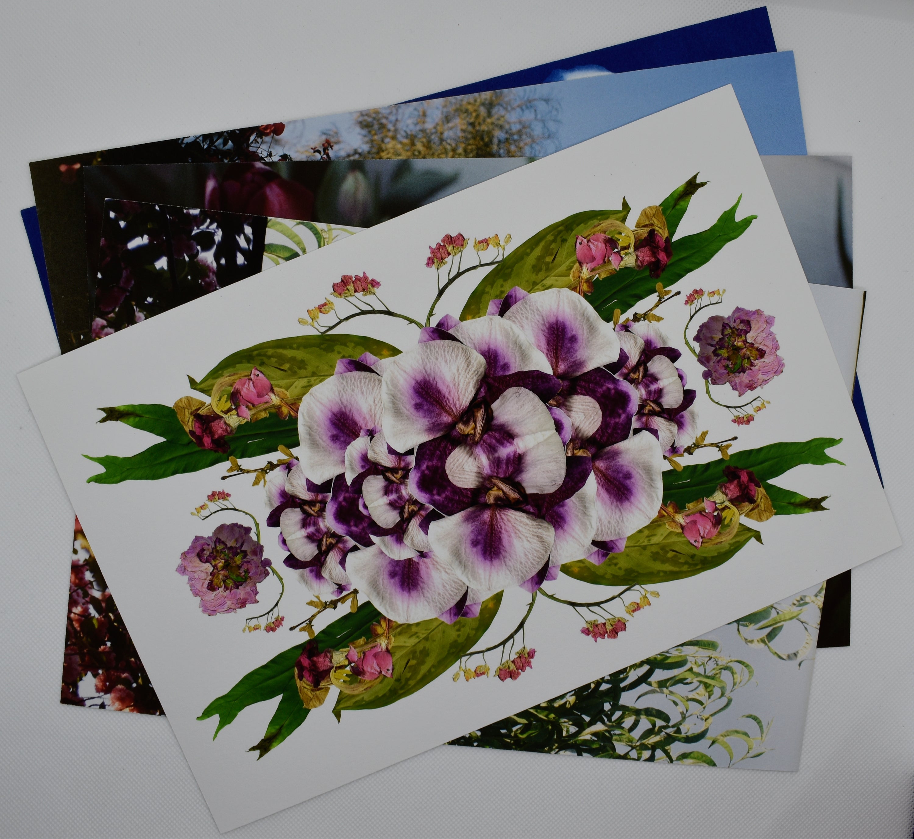 A collage print of purple and white orchids layered over green leaves and florals with pink buds. there are other prints below with blue backgrounds and green leaves.